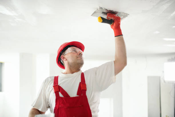 Best Crawl Space Mold Remediation  in Cinco Ranch, TX